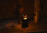 Ferst cooking rats