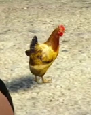 Cluck & Bell † (Chip Wheeler)