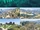 Vinewood Hills