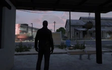 Jagger outside the front door, watching the street August 25, 2025