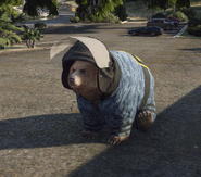 In his FAFO gear