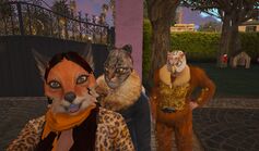 Fall Deathlight, Kitten Bloodbite, and Autumn Bloodfang Jan 18, 2023