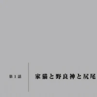 List Of Noragami Episodes Noragami Wiki Fandom An anime television series adaptation by bones aired in japan beginning from january 5. of noragami episodes noragami wiki