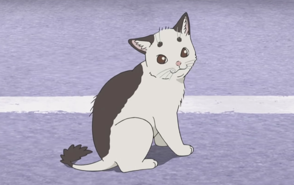 Noragami Ep. 1  A Housecat, a Stray God, and a Tail 