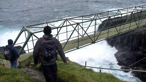 Trip to Mykines with the Faroese Ornithological Society