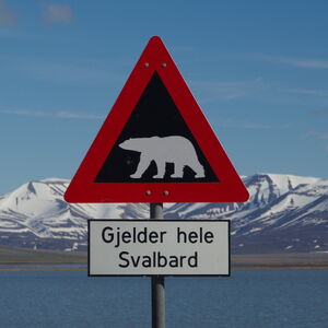 NO-spitzbergen-eisbaer-schild