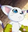 DigimonTV-Gatomon