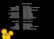 53 - Patchwork Gummi