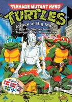 HeroTurtleDVD-5