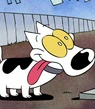 Spunky