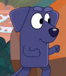 Bluey-JeanLuc