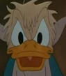 Donald-duck-fun-and-fancy-free-63