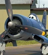 Skipper-planes-75.6