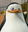 Cute-Private-private-the-penguin-31935845-210-240