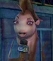 Katie-current-shark-tale-8.85