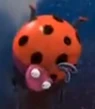Ladybug-bee-movie-86.7