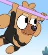 Bluey-Missy