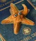 Starfish-1-shark-tale-7.14