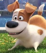 Max in The Secret Life of Pets-1