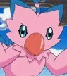 DigimonTV-Biyomon