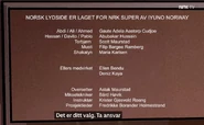 100problemer-Cred.jpg (326 KB)