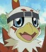 Digimon-Hawk