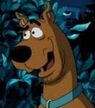 ScoobFalk-Scoob