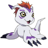 Gomamon tri