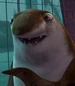 Don-feinberg-shark-tale-9.8