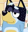 Bluey-Bandit