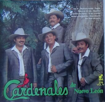 Anexo Discografia De Cardenales De Nuevo Leon Nortenopedia Wiki Fandom This song is by cardenales de nuevo león and appears on the album fuego contra fuego (1994) and on the album lo mas ranchero de. anexo discografia de cardenales de