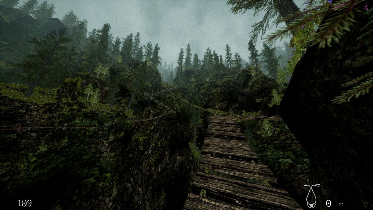 northern journey forest path