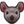 Rats