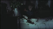 Nosferatu1979