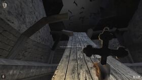 Bats NWoM.jpg