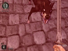 Devil dog.jpg
