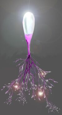Eggship.jpg