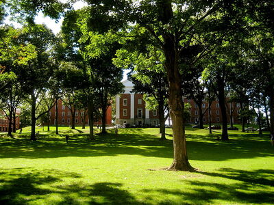 800px-Amherst College Main Quad