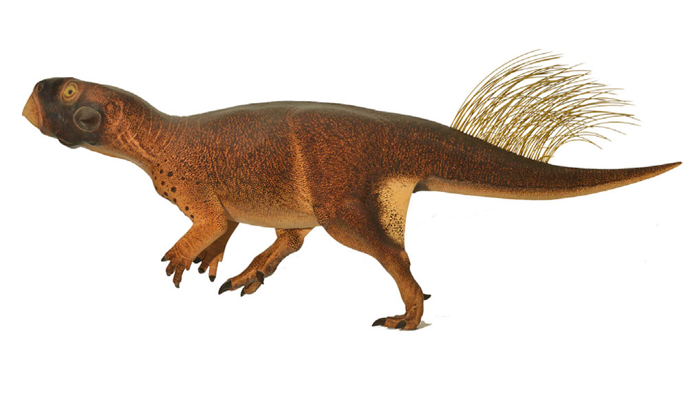 Schleich Dinosaur - Psittacosaurus