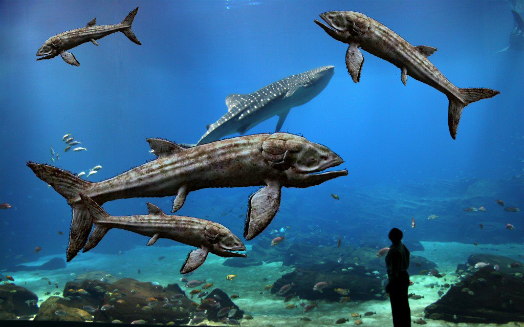 leedsichthys compared to human