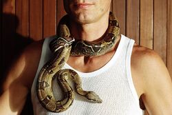 Amusement Park Snake