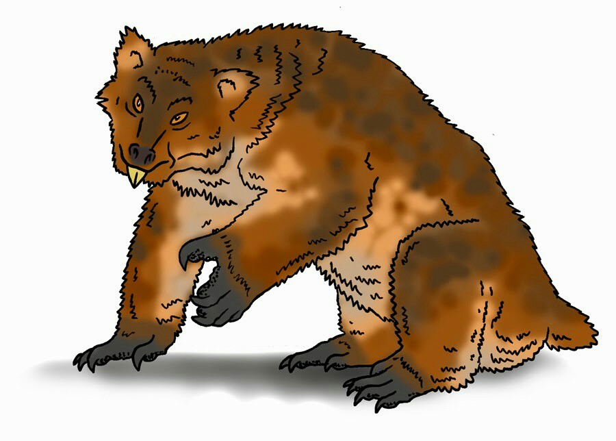 File:Drop bear.PNG - Wikipedia