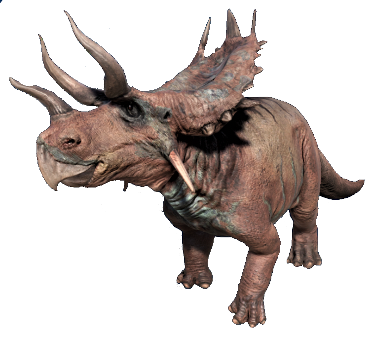 Baturoceratops (SciiFii) | Novum Terram Wiki | Fandom