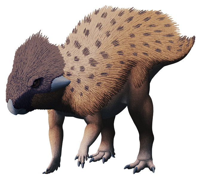 Auroraceratops (SciiFii) | Novum Terram Wiki | Fandom