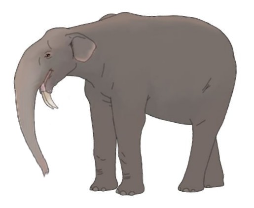 Deinotherium, Dinopedia