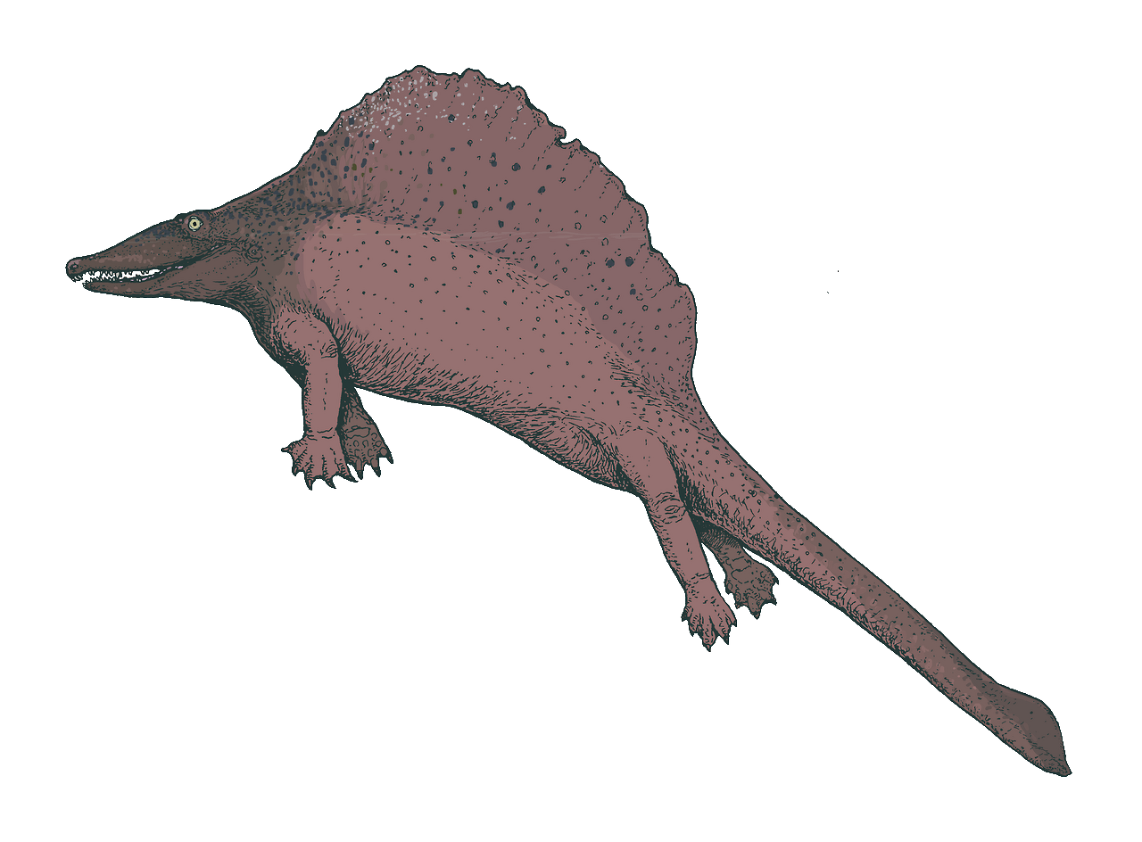 Secodontosaurus (SciiFii), Novum Terram Wiki
