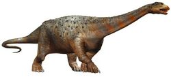 Mokele-mbembe (SciiFii), Novum Terram Wiki