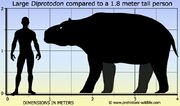 Diprotodon-size