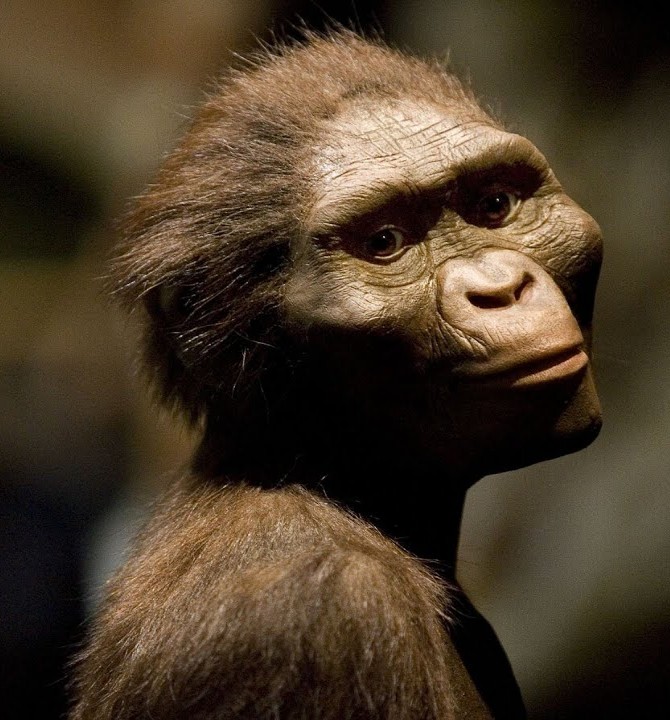 Australopithecus (SciiFii), Novum Terram Wiki