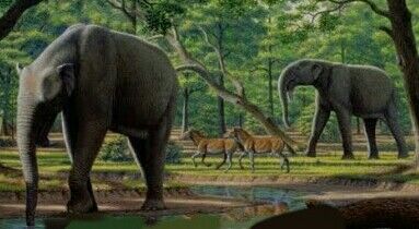 A waterhole in the past with Deinotherium